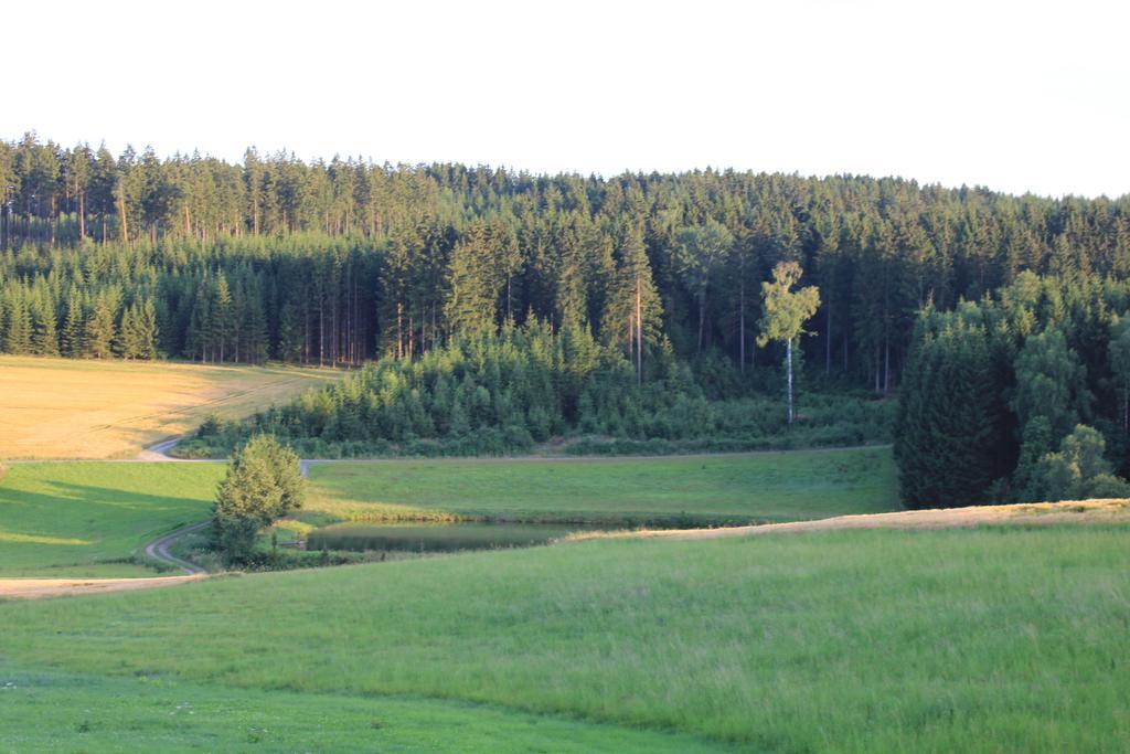 Landgasthof Haueis Marktleugast Exterior photo