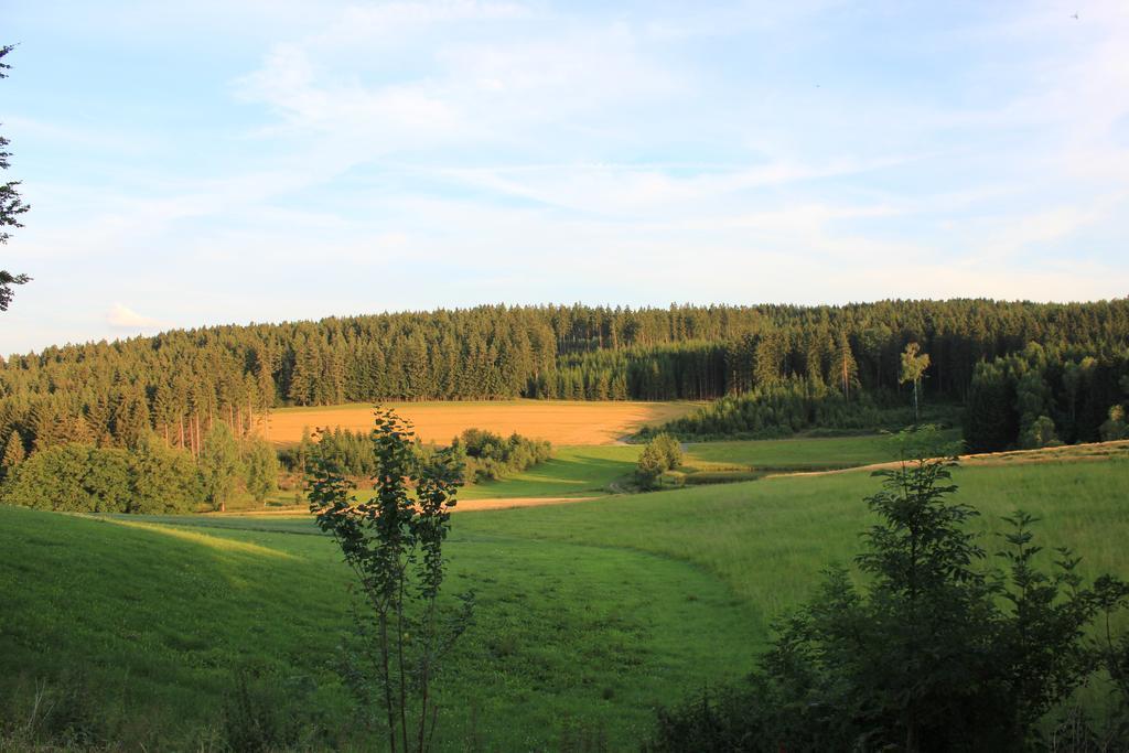 Landgasthof Haueis Marktleugast Exterior photo